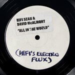 cover: David Mcalmont|Hifi Sean - All In The World (Hifi's Electro Flux)