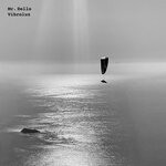 cover: Mr. Dello - Vibrolux