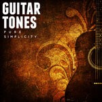 cover: David King Bolger|Lars Kurz - Guitar Tones Pure Simplicity