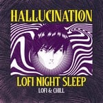 cover: Lofi Night Sleep - Hallucination