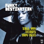 cover: Funky Destination - Till My Tears Dry Out