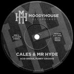 cover: Cales & Mr Hyde - Acid Break, Funky Groove