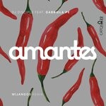 cover: Dj Disciple|Gabriela Pe - Amantes (Mijangos Latin House Mix)