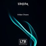 cover: dndm - Wildest Dreams