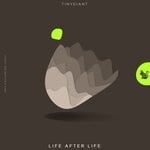 cover: Tinygiant - Life After Life