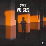 cover: Dvny - Voices