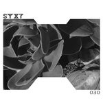 cover: Terminus(za) - Syxt030