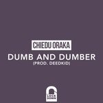 cover: Chiedu Oraka - Dumb And Dumber