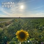 cover: Ruimte Vogel - Nothing Matters