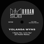 cover: Yolanda Wyns - I Know You, I Live You (Dr Packer Remix)