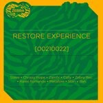 cover: Various - Restore Experience (00210022)