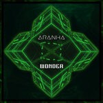 cover: Aranha - Wonder