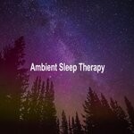 cover: Ambient Sleep Therapy - Ambient Sleep Therapy (No Beats, No Vocals & No Distractions) [The Best Relax & Unwind Ambient Music To Make You Feel Weightless & To Fall Asleep To]