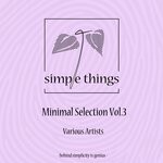 cover: Various - Minimal Selection Vol 3