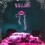 cover: DJ 80p - Wallard