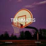 cover: The Dryas - Teammates