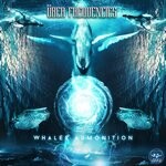 cover: Uber Frequencies - Whales Admonition