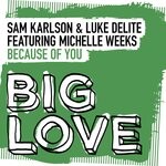 cover: Luke Delite|Michelle Weeks|Sam Karlson - Because Of You