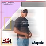 cover: Dolphas De Deejay - Mapula