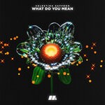 cover: Celestina Saffron - What Do You Mean