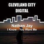 cover: Nathan Jay - I Know - You Want Me