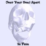 cover: Tear Your Soul Apart - In Pain