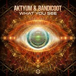 cover: Aktyum|Bandicoot (arg) - What You See