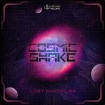 cover: Cosmic Shake - Lost Particles