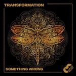 cover: Flo Circus - Something Wrong (Original Mix)