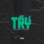 cover: M1ke7 - Try