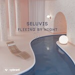 cover: Seluvis - Fleeing By Night