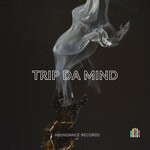 cover: Hhb - Trip Da Mind