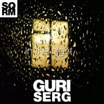 cover: Guri Serg - In The Night (Original Mix)