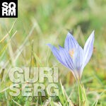 cover: Guri Serg - Mix Contest 2