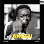 cover: Anesu|Ctt Beats - Anesu