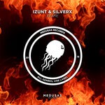 cover: Izunt|Silverx - Flame