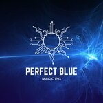 cover: Magic Pig - Perfect Blue