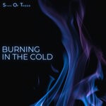 cover: Stage Of Theed - Burning In The Cold