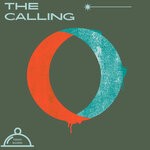 cover: David Snake - The Calling