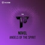 cover: Novel - Angels Of The Spirit