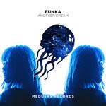 cover: Funka - Another Dream