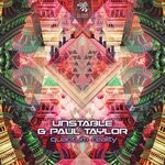 cover: Dj Paul Taylor|Unstable - Quantum Reality