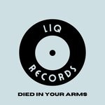 cover: Julio Vive - Died In Your Arms