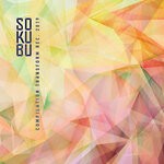 cover: Various - Sokubu Compilation Transform Recordings 2019