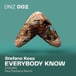 cover: Stefano Kosa - Everybody Know