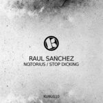 cover: Raul Sanchez - Notorius