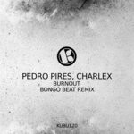 cover: Charlex|Pedro Pires - Burnout