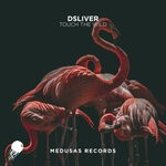 cover: Dsliver - Touch The Wild (Extended Mix)