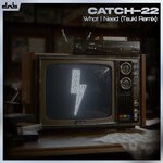 cover: Catch-22 Nz - What I Need (Tsuki Remix)