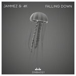 cover: 4k|Jammez - Falling Down